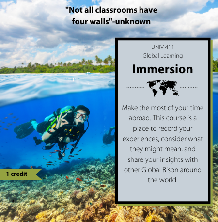 Global Learning: Immersion