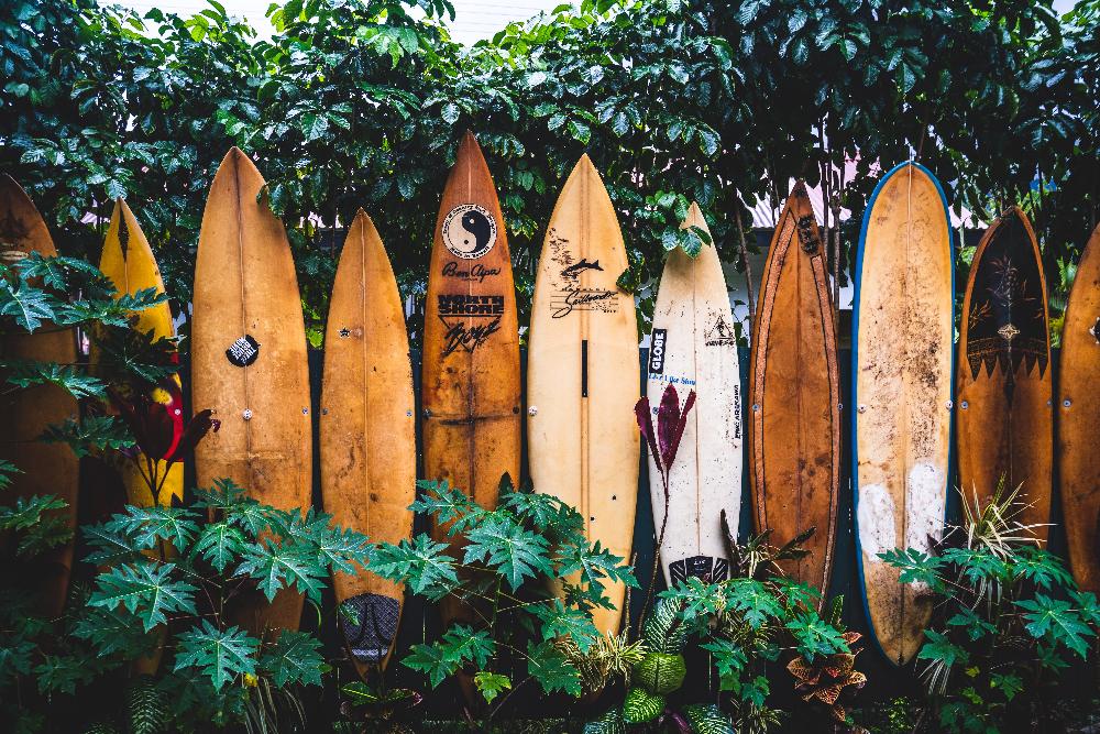 hawaii surf boards